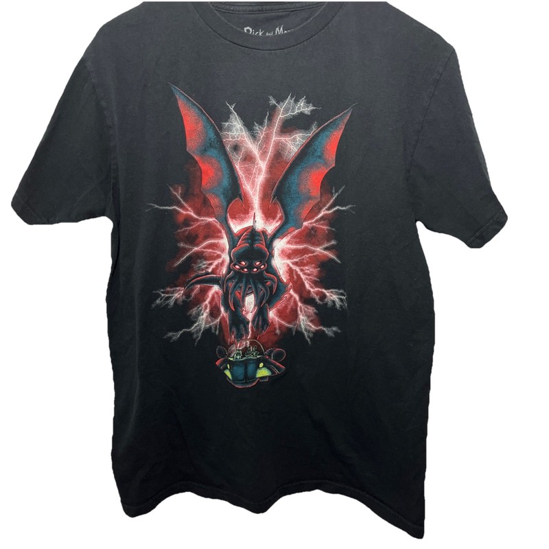 Rick & Morty Spaceship Black T Shirt Adult Swim Ripple Junction Size Large gallery
