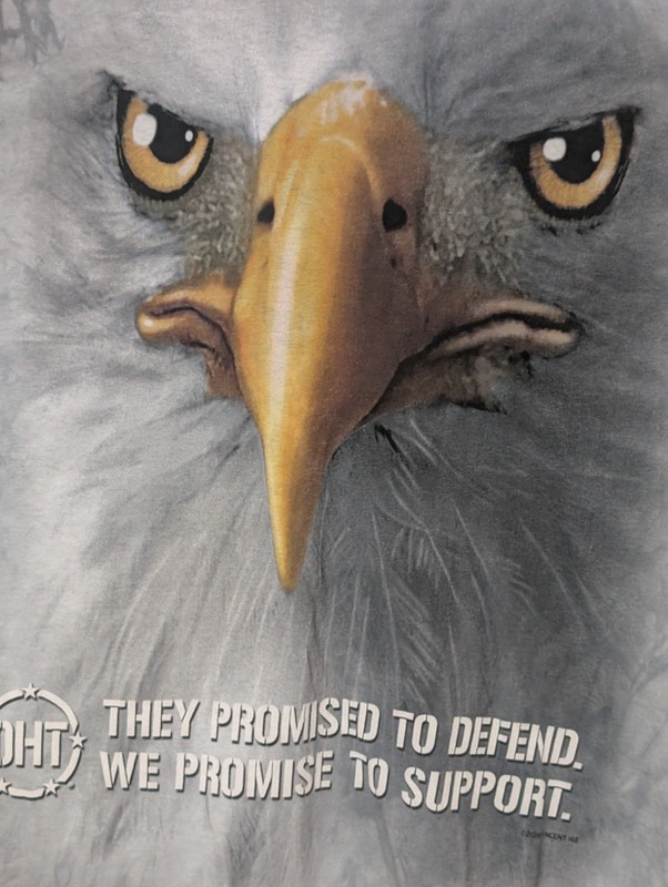 The Mountain Mens T-shirt Gray Face Of An Eagle We Promise To Defend XL #6734
