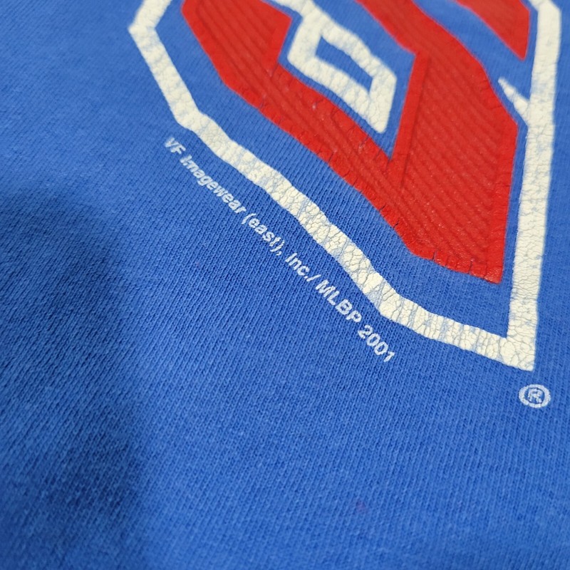 Vintage 00s Chicago Cubs Tee By Lee Sport SZ L Blue gallery