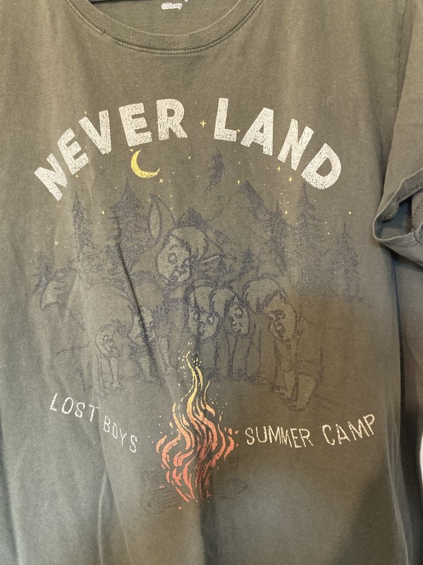 Disney Adult T-Shirt Peter Pan Neverland Summercamp Green Size 3X gallery