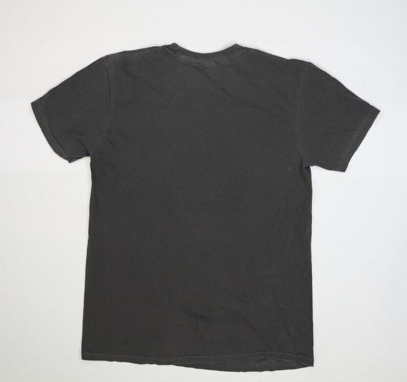 Tyler Hubbard FGL Throwback Charcoal Grey Concert Tee Short Sleeve T-Shirt M gallery