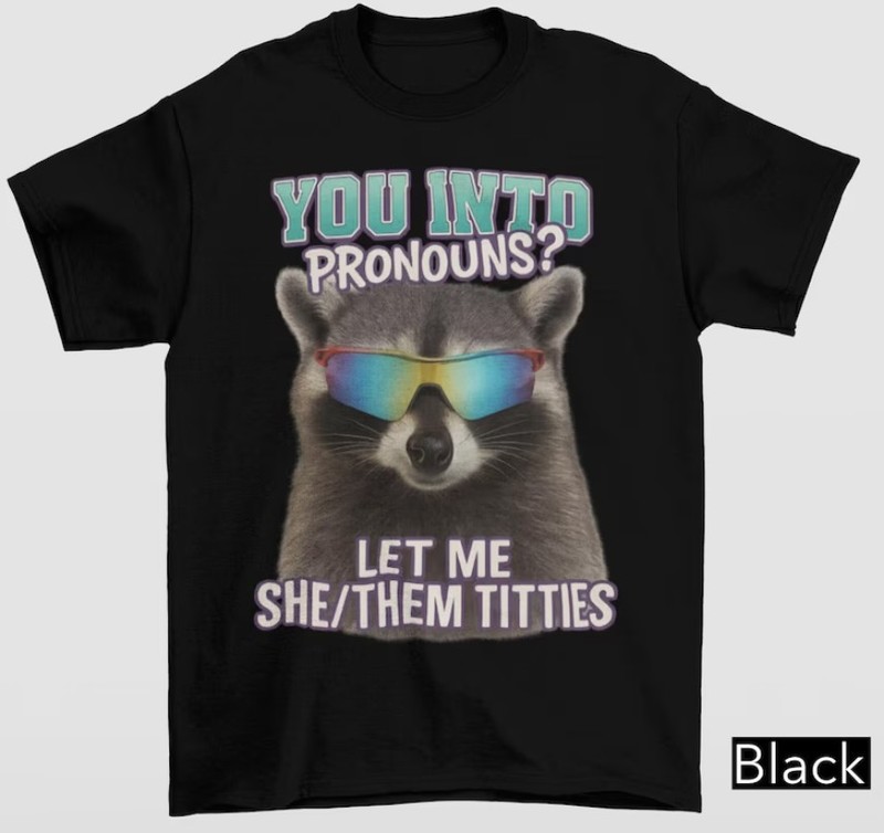 You Into Pronouns Let Me She Them Tittes, Vintage Unhinged Raccoon shirt new