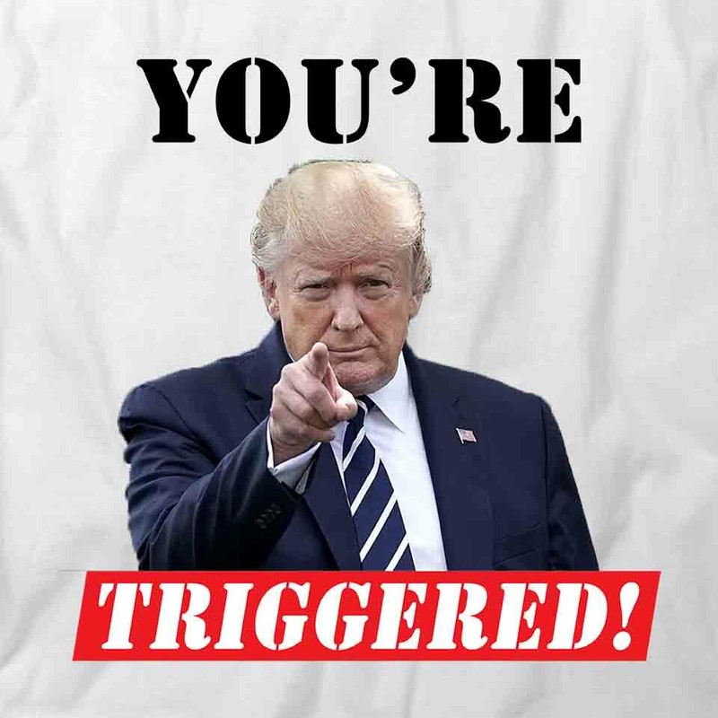 YOU'RE TRIGGERED TRUMP TShirt Tee Short-Sleeved Cotton CLOTHING S1WCA666 gallery