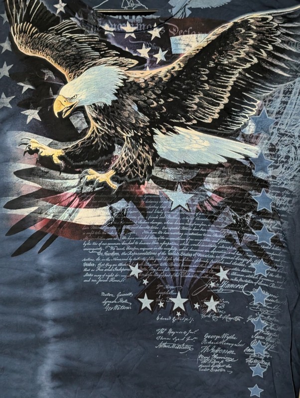 The Mountain Mens T-Shirt Evolution Blue Eagle Talon Flag Retired Logo XL #5286