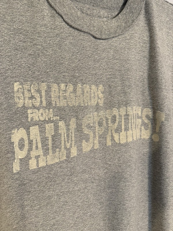 Palm Springs / University of Vermont Dual Short Sleeved Crew T-Shirt Size Large gallery