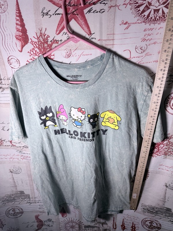 Sanrio Hello Kitty and Friends Men's Light Blue Graphic Print T-Shirt Size L gallery