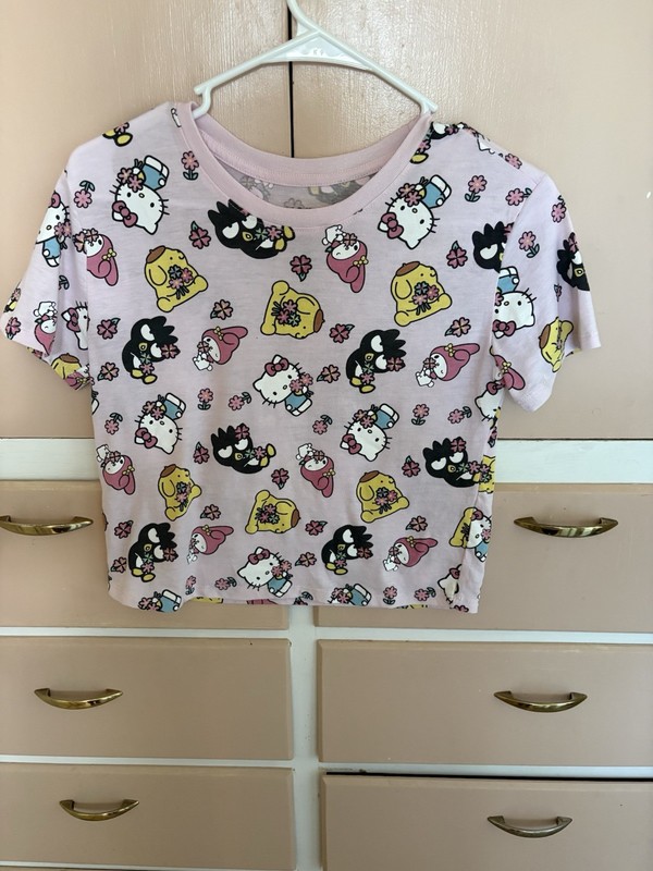 Hello Kitty & Friends Sanrio Pink Graphic Tee Floral Print Crop Top Size Large