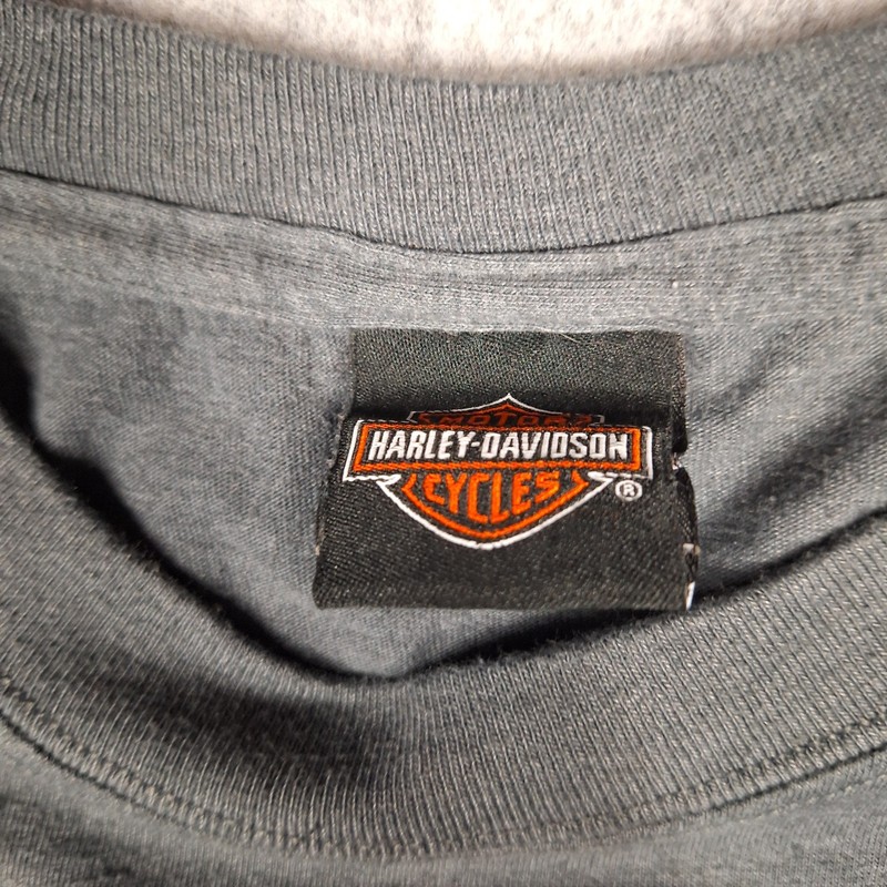Harley-Davidson Spring Fall Beach Rally 2020 Graphic Skull T Shirt Mens L Gray gallery