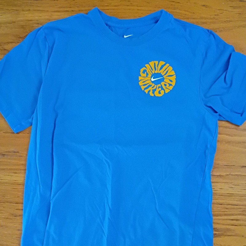 Nike Dri-FIT The Nike Tee Men’s M Blue Graphic Print T-Shirt