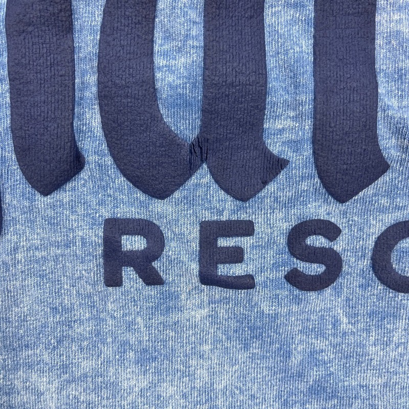 Disney Resort Spirit Jersey Shirt Adult Small Blue Cotton Crew Neck gallery