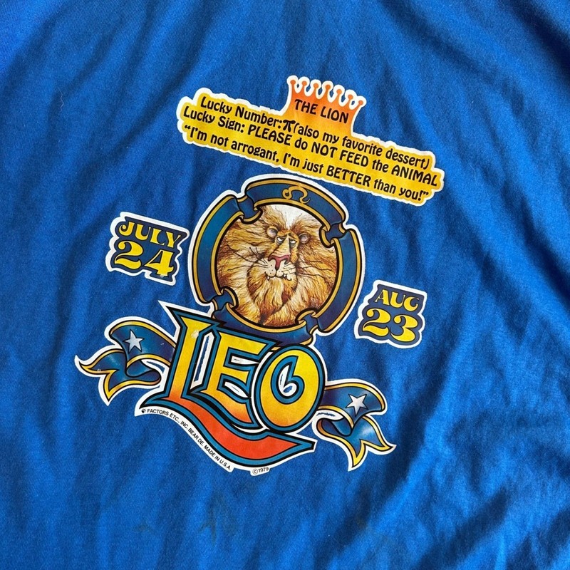 Vintage 1979 Hanes Heavyweight 50/50 Leo The Lion T-Shirt Adult XL gallery