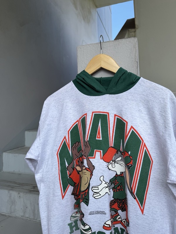 Vintage 1993 Taz Tasmanian Devil Hooded T-Shirt XL Looney Tunes Single Stitch US gallery