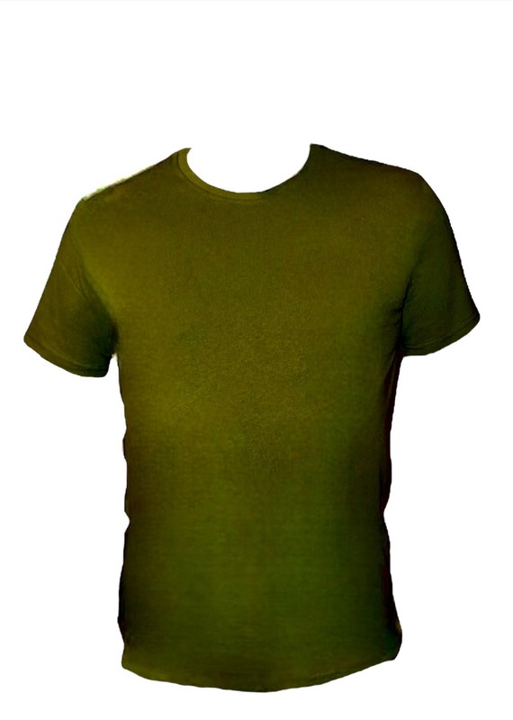 Thick Hemp / Organic Cotton T shirts Superior Quality T-shirt t's tshirt Heavy gallery