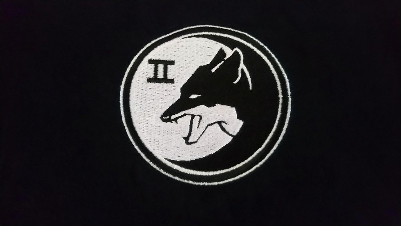 HALO SILVER TEAM HOODIE