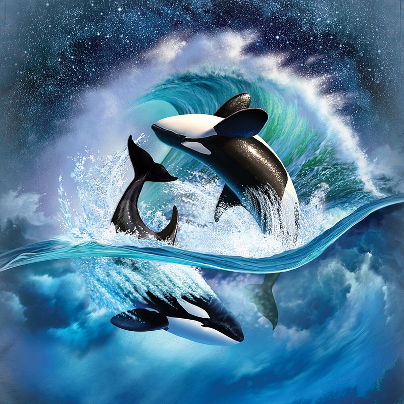 The Mountain Orca Wave Killer Whale Dolphin Ocean Fish Blue Cotton Shirt 4X gallery