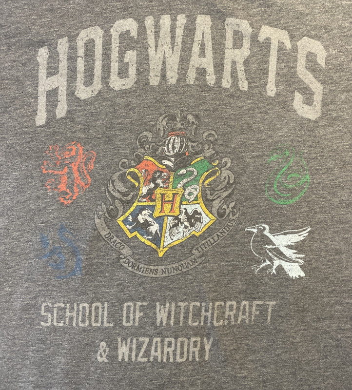 Large Gray Harry Potter Hogwarts School Of Witchcraft & Wizardry T-Shirt