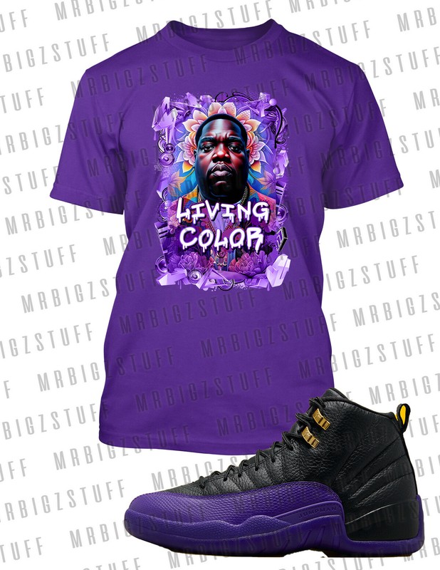 Biggie In Living Color Tee Shirt J12 Black Purple Men’s Big Tall Small Sport T