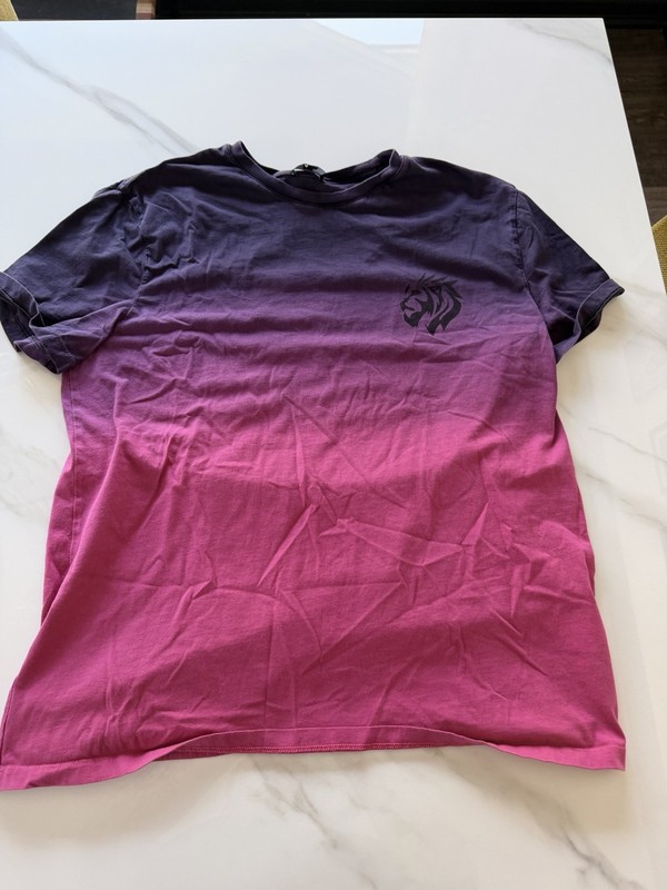 Express Men’s L Purple Pink Gradient Crew Neck Short Sleeve Logo T-Shirt