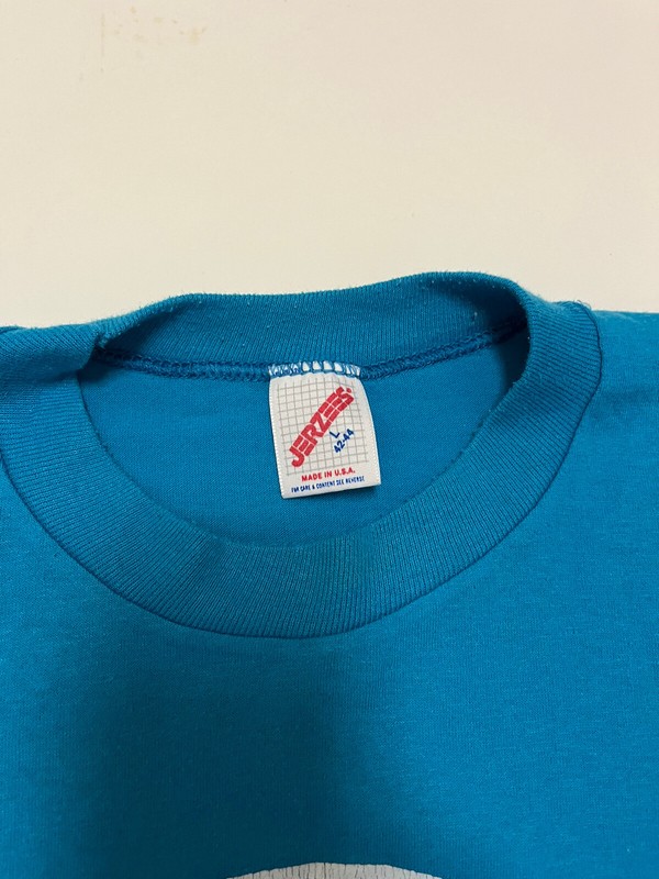 Vintage Jerzees Single Stitch Teal Blue “Cactus Coyotes” Graphic Tee Sz LRG USA! gallery