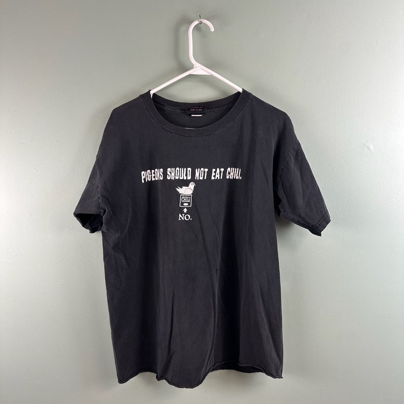 Funny 2000s Humor Goofy T-Shirt Faded Distressed Pigeons Should Not Eat Chili LG