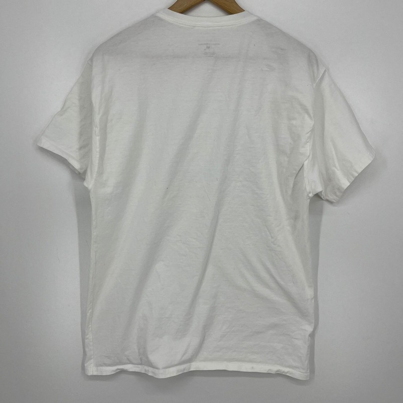 Champion Mens White Earth Graphic Big C Logo Short Sleeve T-Shirt Size L gallery
