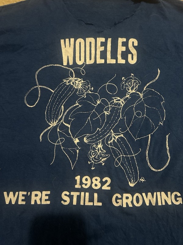Vintage 80s Tshirt Size Small Distressed Veggies Farm Blue Vegetable Fruit gallery