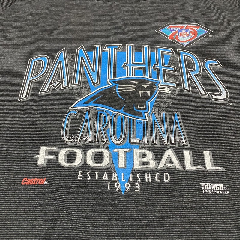 VTG Carolina Panthers Shirt Mens XL Gray NFL Football Graphic Tee 90s Streetwear gallery