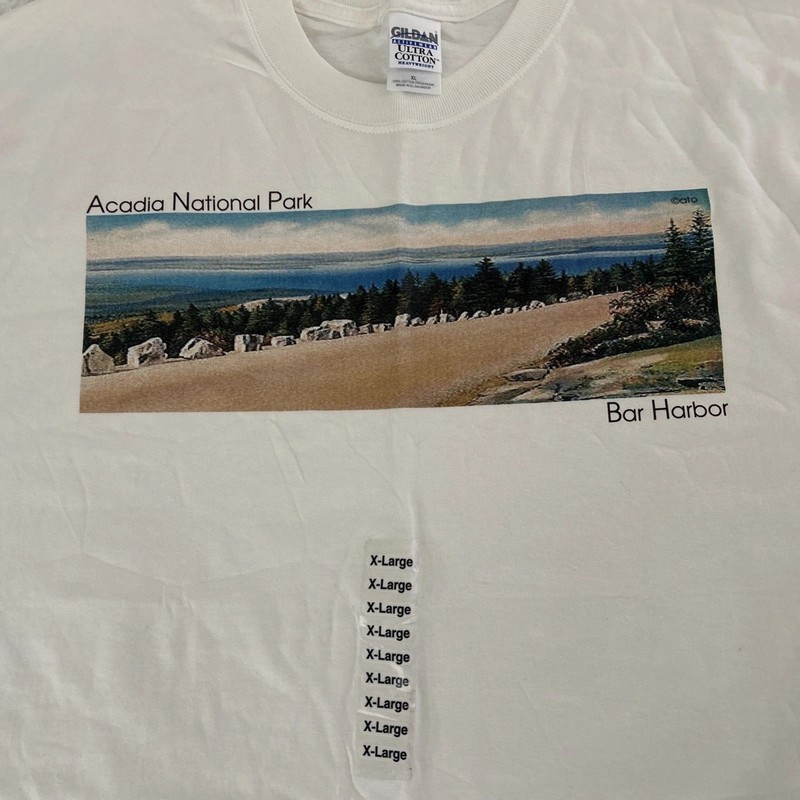 ACADIA NATIONAL PARK Vintage T-Shirt Bar Harbor MAINE Gildan ActiveWear Mens XL